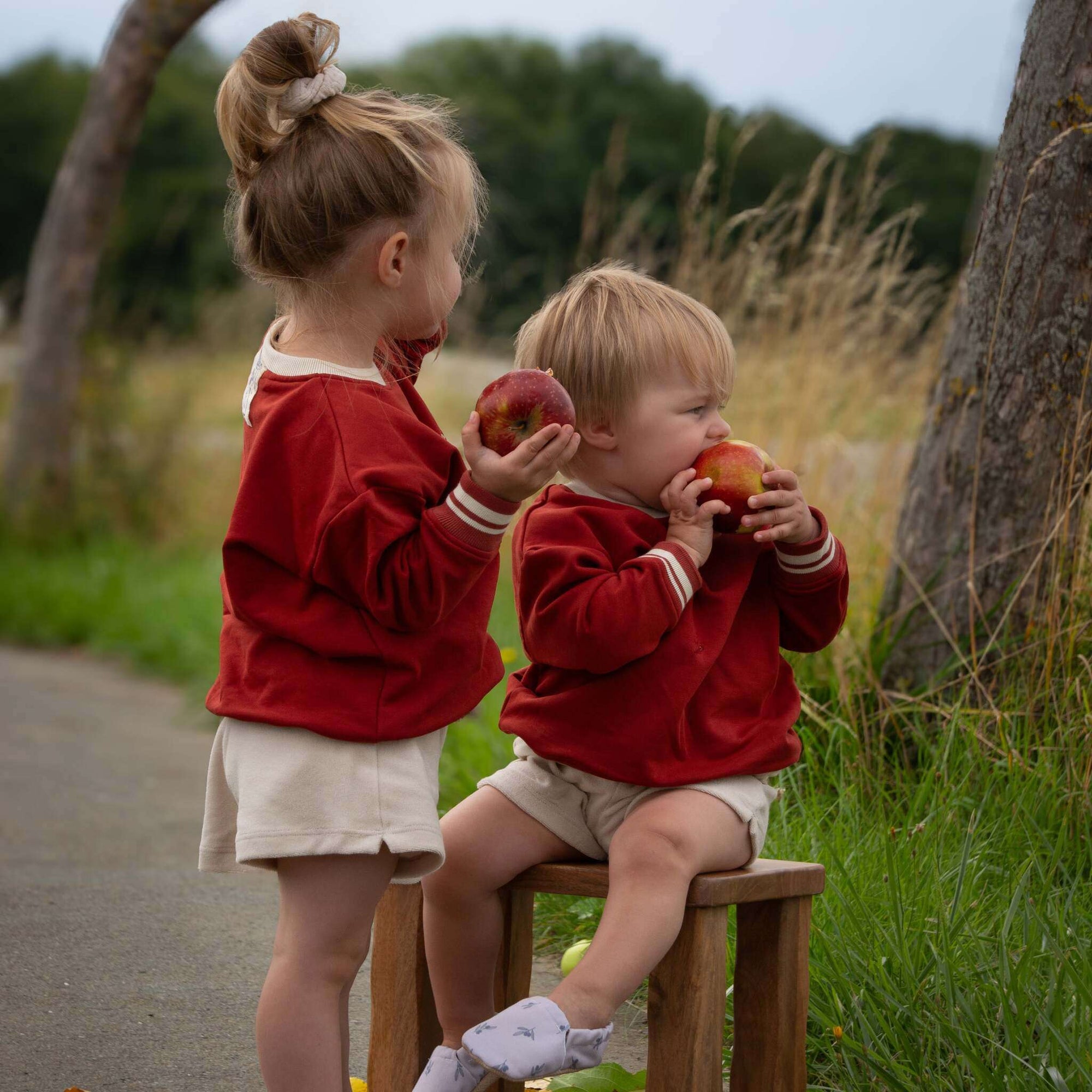 Family Sweatshirt - Vintage Red - SALE