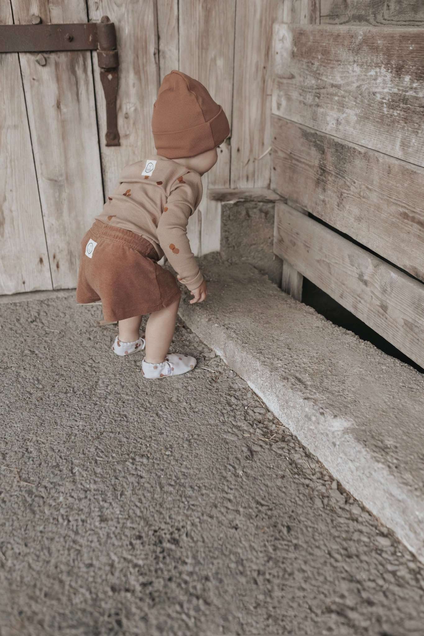 Organic Terry Shorts - Walnut